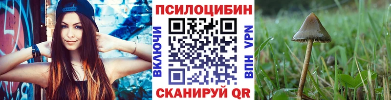 Купить закладки  Чулым  Псилоцибиновые грибы мицелий 